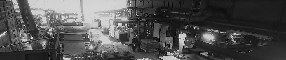 DSC_2402 (2).JPG