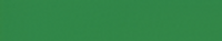 Logo Vive l'instant - Fond vert