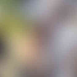 Santoria with hard hat