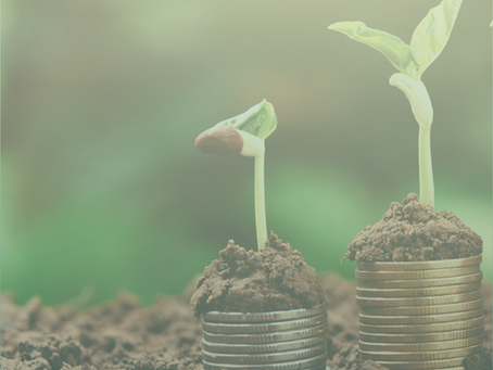 money growth with nature