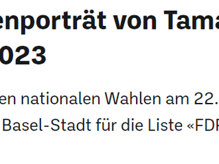 Kandidatinnenportrait auf bzbasel.ch