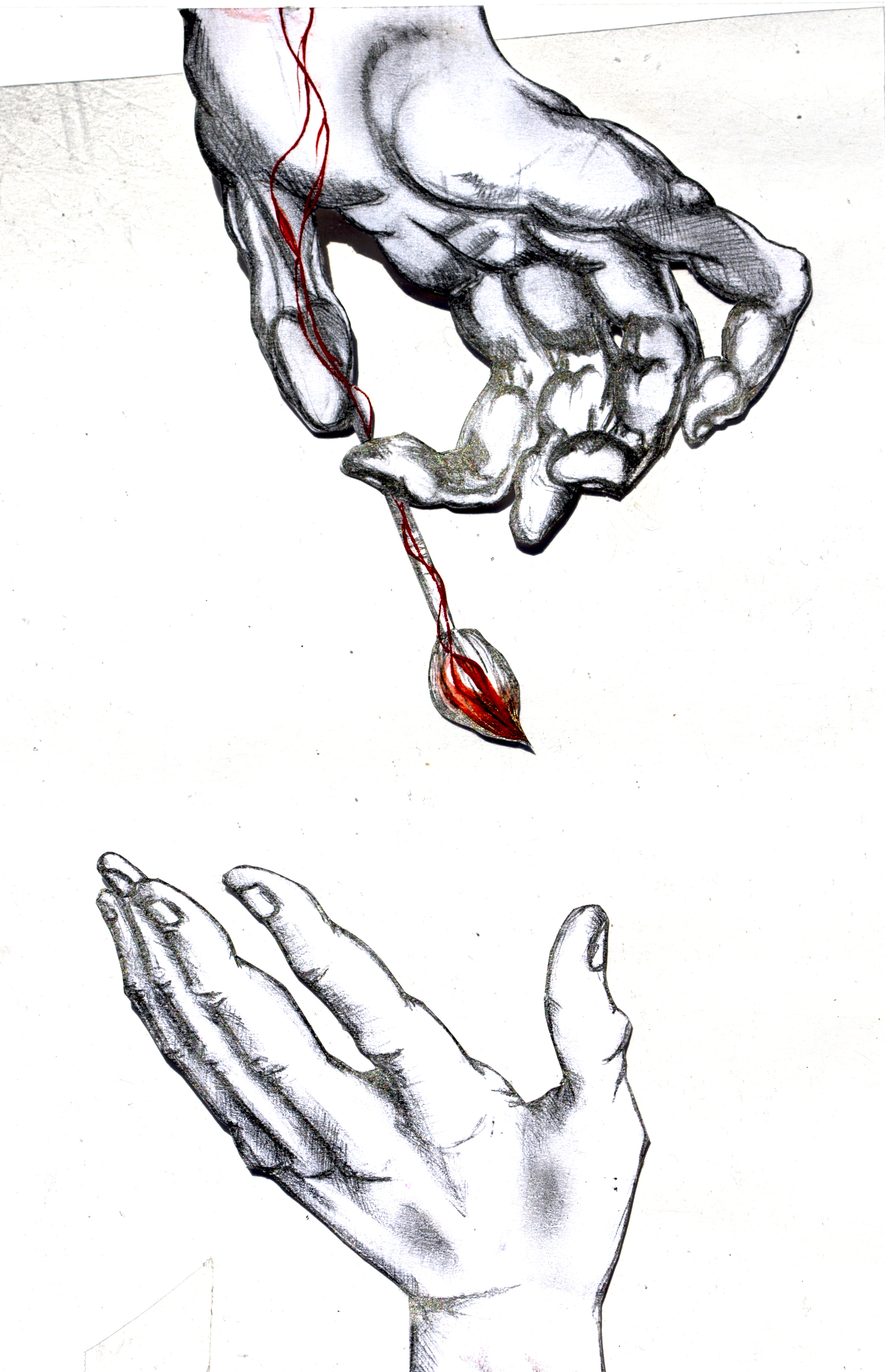 Hands