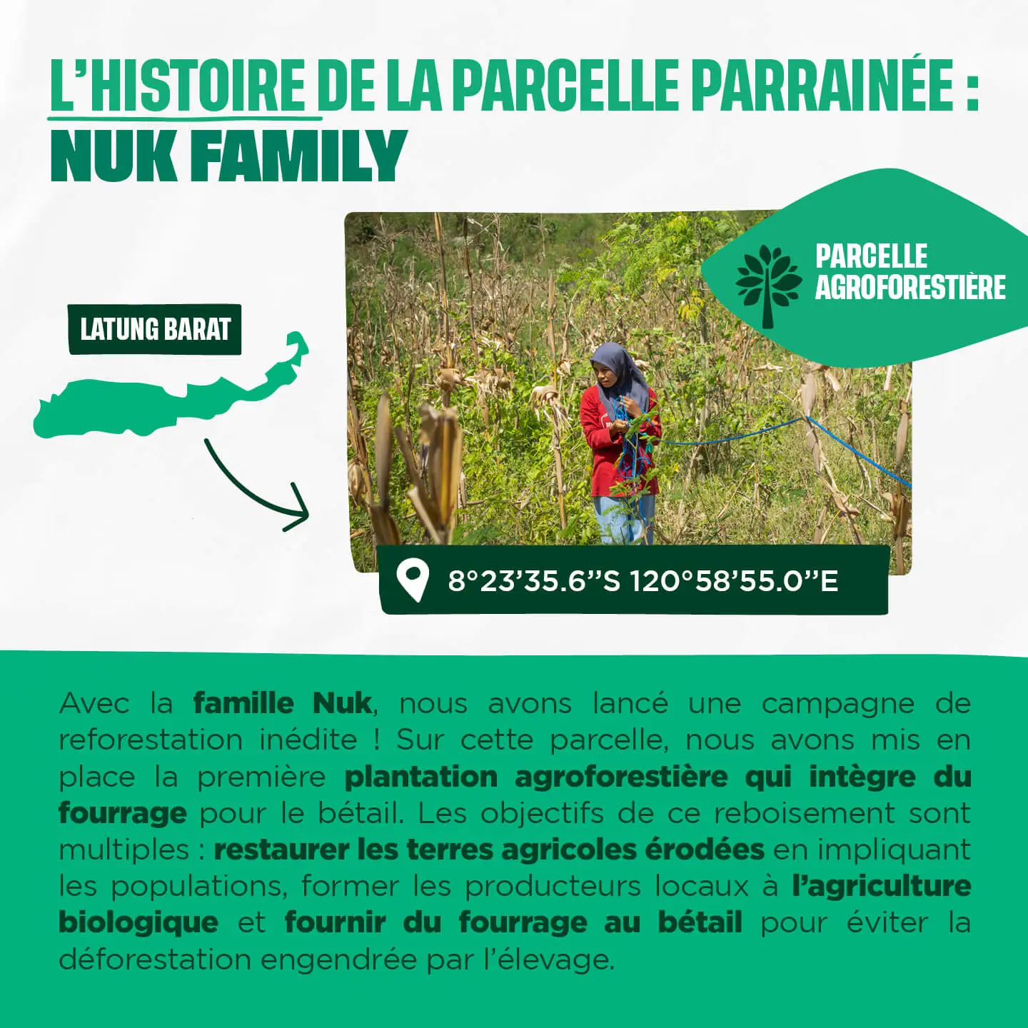 L'histoire de la parcelle parrainée : Nuk Family
