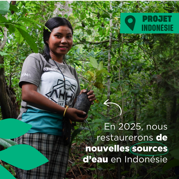 En 2025, nous restaurerons de nouvelles sources d'eau
