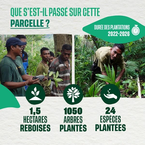 Que s'est-il passé sur la parcelle de Penepir ?