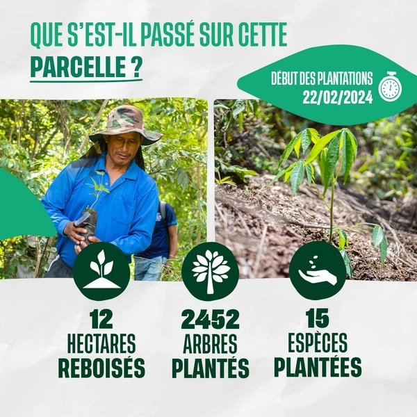 Que s'est-il passé sur cette parcelle ?