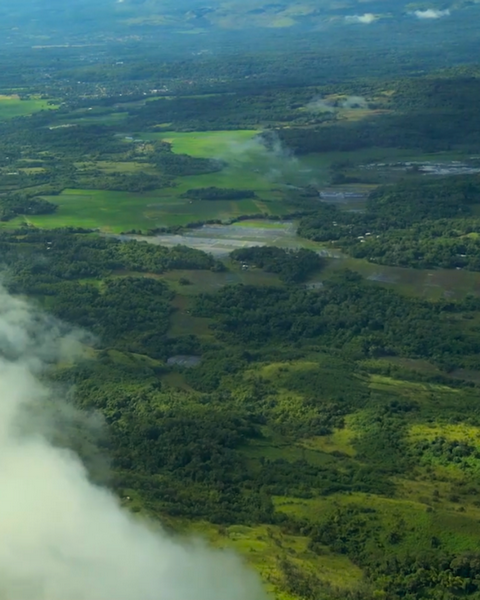 Vue aérienne de la forêt de l'île de Florès