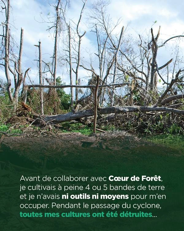 Pendant le passage du cyclone, touteds mes cultures ont été détruites