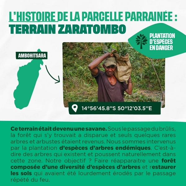 Histoire de la parcelle parrainée : terrain Zaratombo