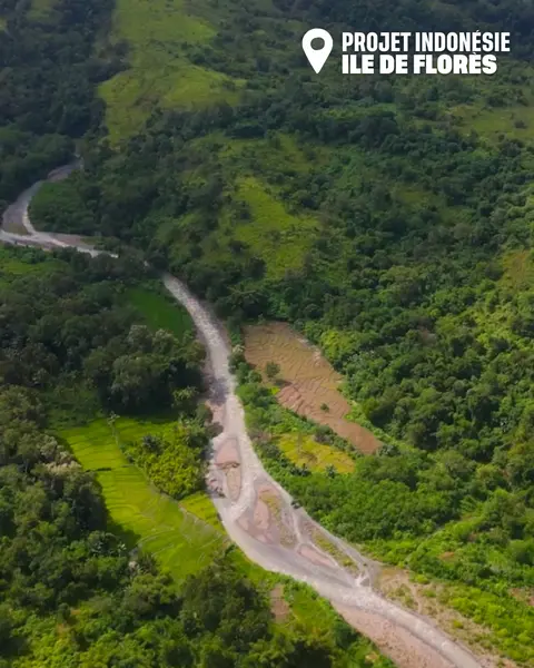Comment protéger les forêts tropicales sèches existantes et la biodiversité exceptionnelle sur notre projet Indonésie ?