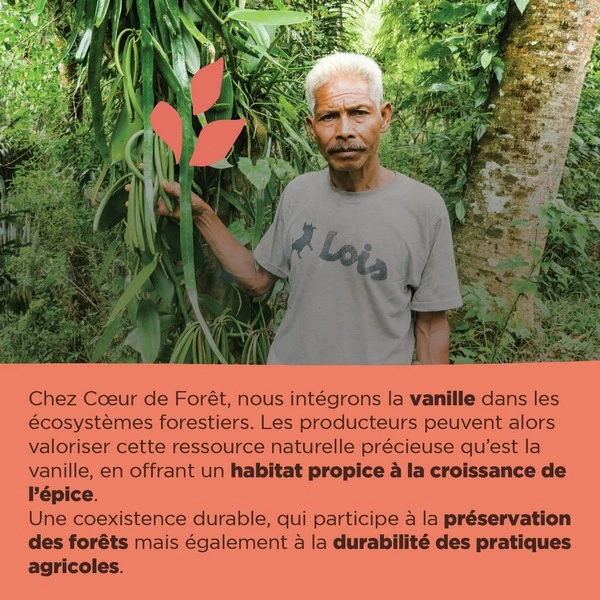 Bénéficiaire appuyé par l'association Coeur de Forêt cultive de la vanille éthique en sous-bois