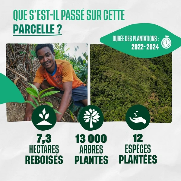 Que s'est-il passé sur cette parcelle ? Les grands chiffres
