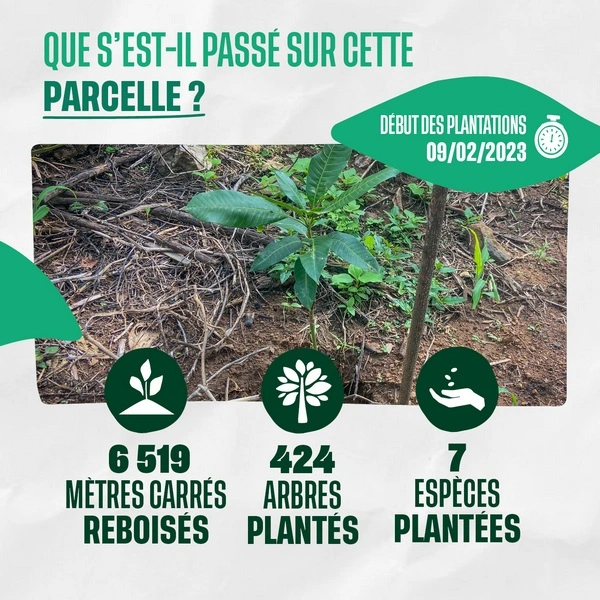 Que s'est-il passé sur cette parcelle ?