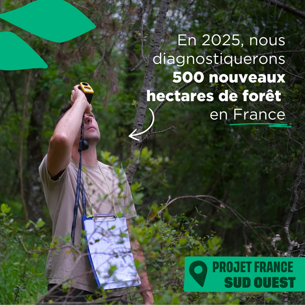 En 2025, nous diagnostiquerons 500 nouveaux hectares de forêt en France