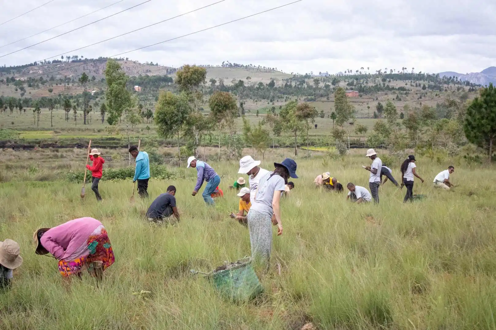 67 membres de l'équipe Coeur de Forêt à Madagascar ont participé à la campagne de reboisement