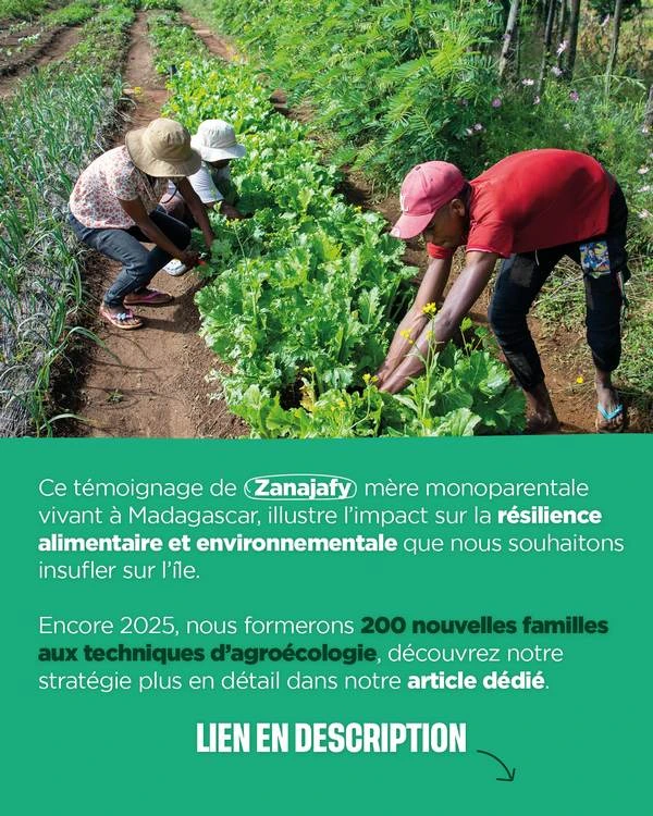 En 2025, Cœur de Forêt accompagnera 200 nouvelles familles en leur transmettant les connaissances et les moyens de pratiquer l’agroécologie sur leur parcelle.