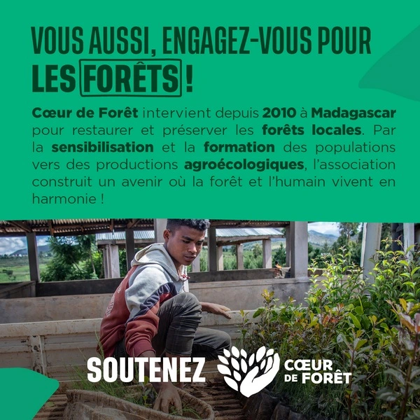 Vous aussi, engagez-vous pour les forêts