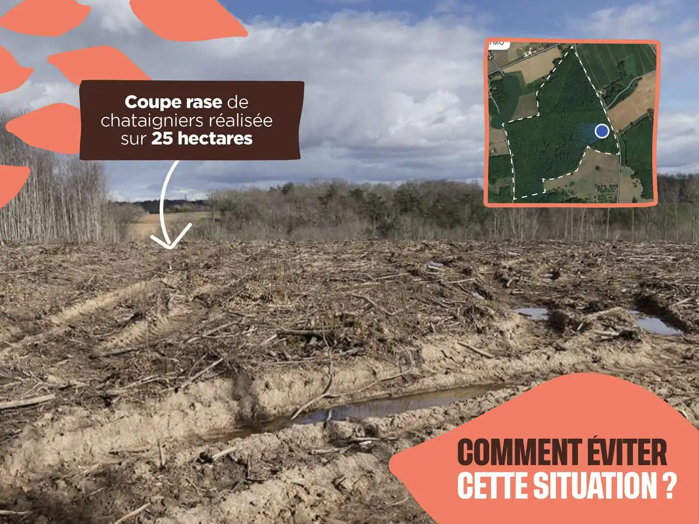 Comment éviter les coupes rases