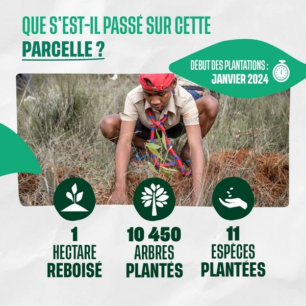 Que s'est-il passé sur cette parcelle ?