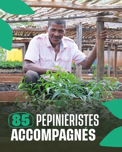   Odetin Alphonse, pépiniériste engagé : comment Cœur de Forêt l’a aidé à faire de son rêve d’enfance un projet durable