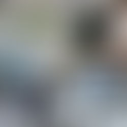 Leben in Brasilien - ein (Alb-)Traum?