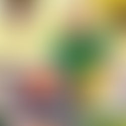 Why you should be paying more as a tourist