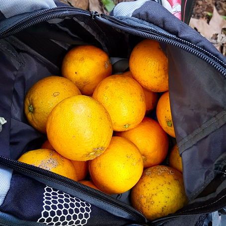 Searching for adventures?