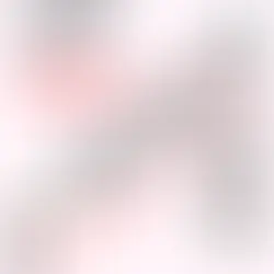 113年度經濟不利學生專業證照/校外競賽助學金 線上申請