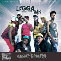 GSE FAM
