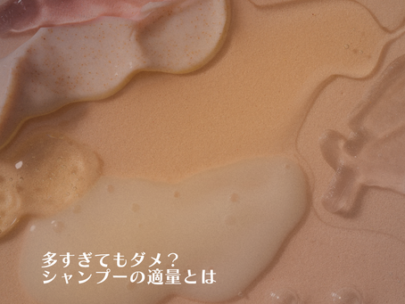 多すぎてもダメ？シャンプーの適量とは