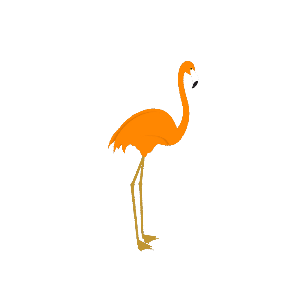 Flamingo-Transparent-01.gif
