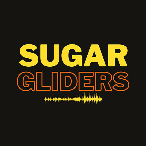 2021 sugar gliders logo transparent (1)_