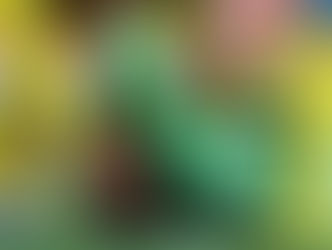 Luis Ángel Malagón Injury Update: América Goalkeeper Could Miss 2026 World Cup