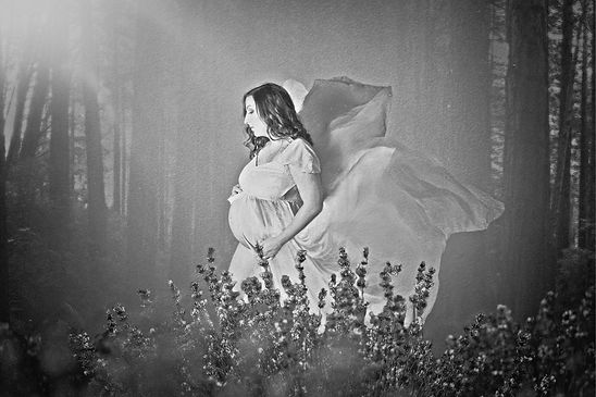 fine art maternity michele johns 3.jpg