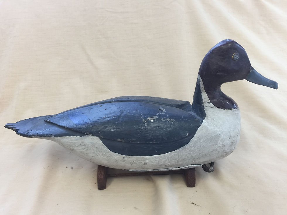 Thumbnail: Carver Unknown Pintail Pair