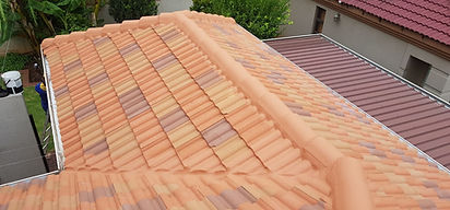 Roof Ridge Repairs
