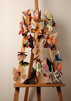 A Flutter.jpg