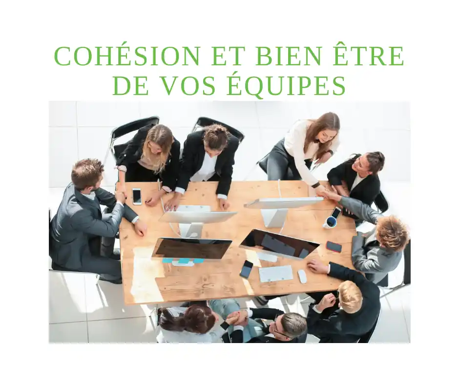 outil psychométrique: cohésion et le bien-être de vos équipes