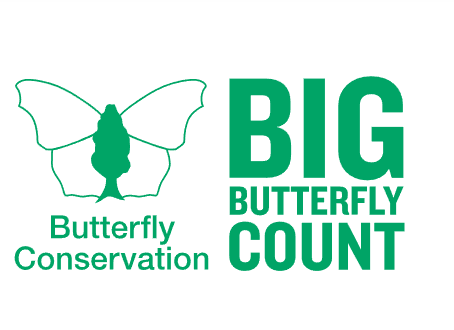 The Big Butterfly Count at Ford Park (17 July–9 August 2026)