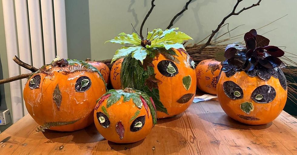 Decorated pumpkins at Ford Park
