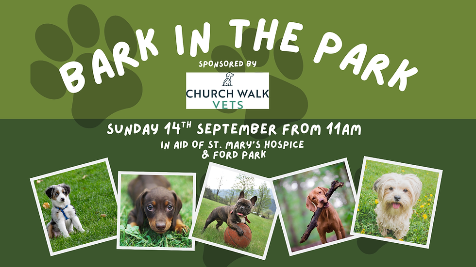Bark in The Park