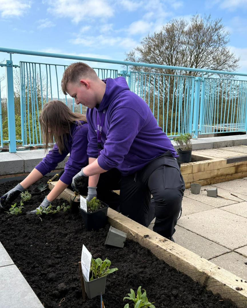 Siemen's Energy plant up the new beds on the terrace