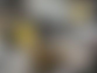 新しいガジェット