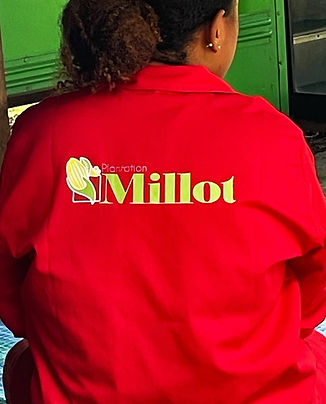 millot.jpg