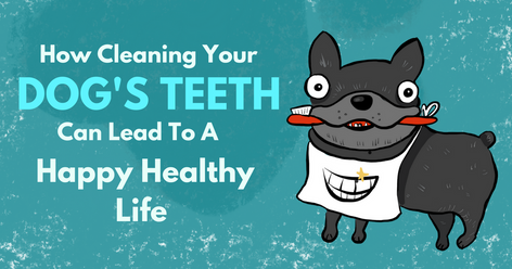 Published Article Pets