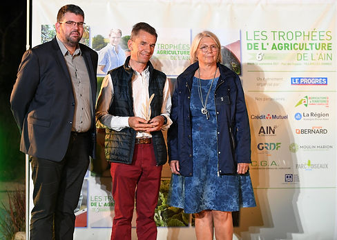 Trophée de la santé et de la sécurité au travail.jpg