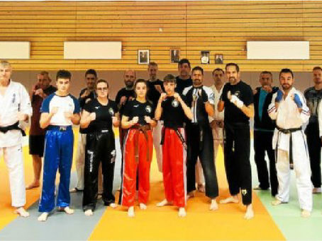 Télégramme | Un stage de karaté entre convivialité et discipline à Plougastel-Daoulas