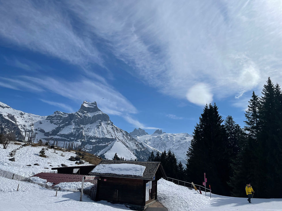 Brunni im Winter