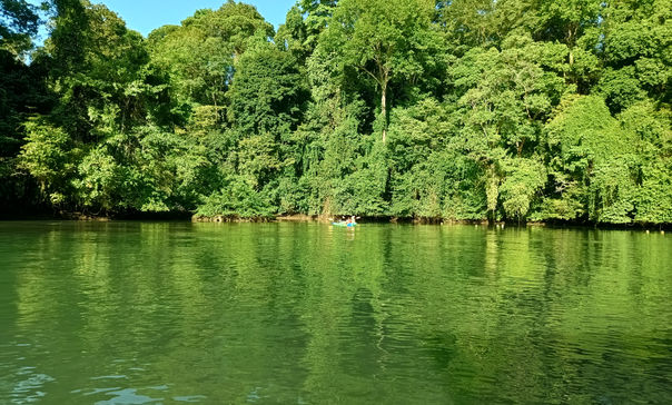 IMG_20241224_074439872_HDR.jpg