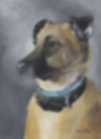 Jackie (1)